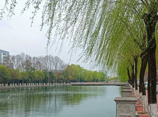 精产国品一二三产区蘑菇视频