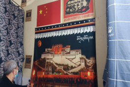 精产国品一二三产区蘑菇视频