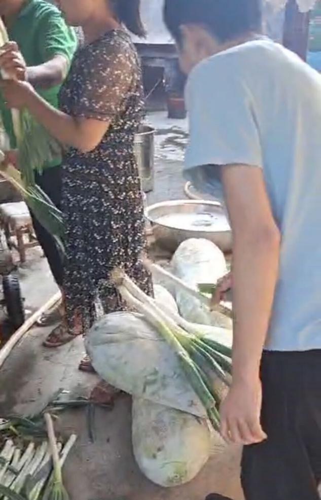 精产国品一二三产区蘑菇视频